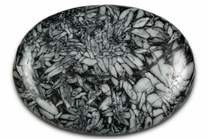 Polished Pinolite Palm Stone - Austria #343895